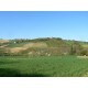 Properties for Sale_Farmhouses to restore_Farmouse le tre Cannelle in Le Marche_8